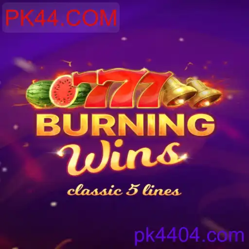 BurningWins